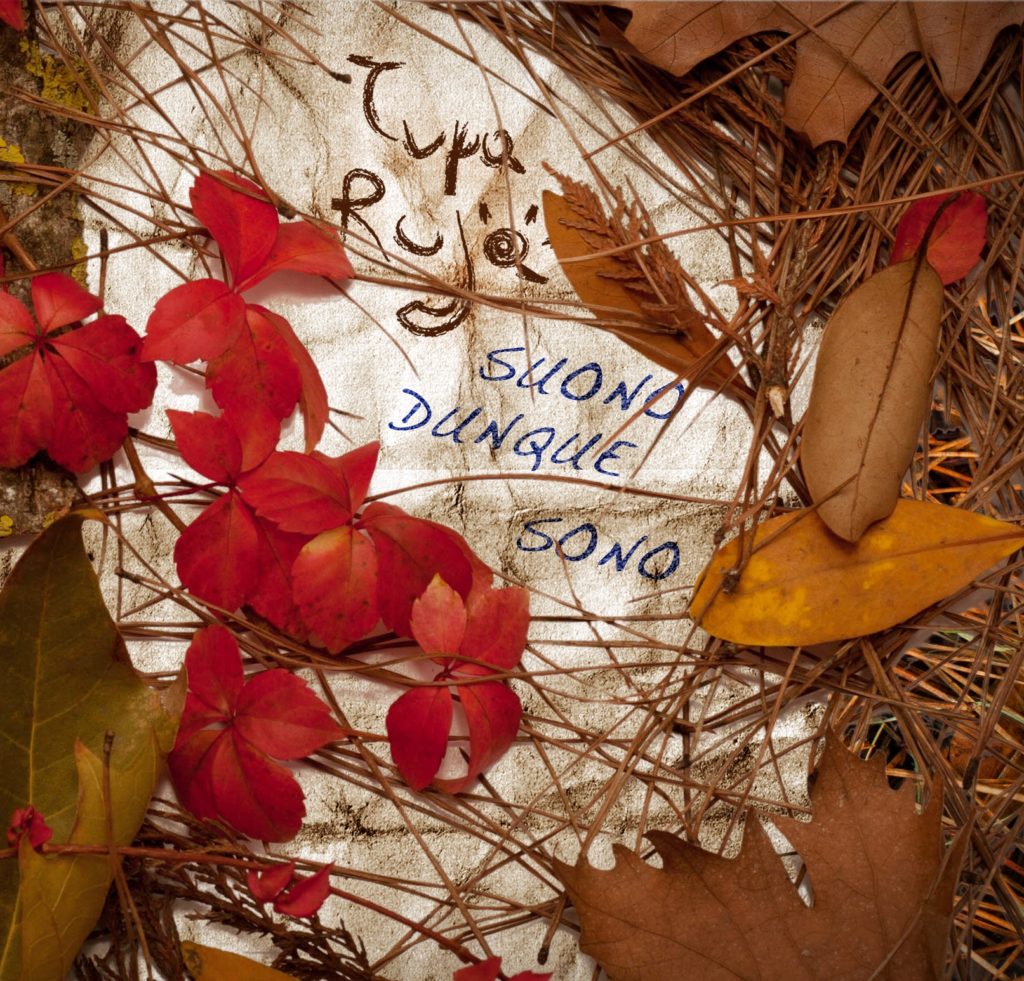 Suono dunque Sono - 2011